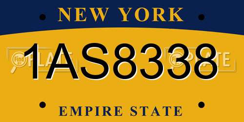 1AS8338 New York License Plate