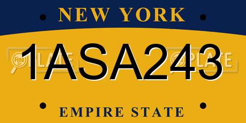 1ASA243 New York License Plate
