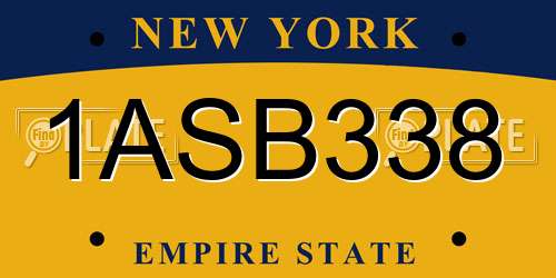 1ASB338 New York License Plate