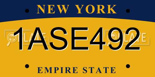 1ASE492 New York License Plate