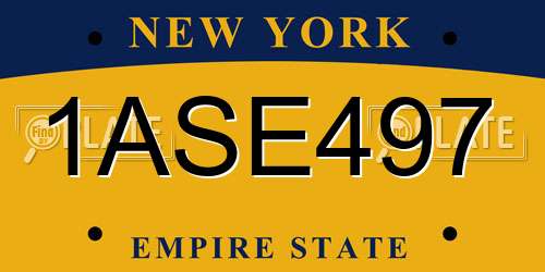 1ASE497 New York License Plate
