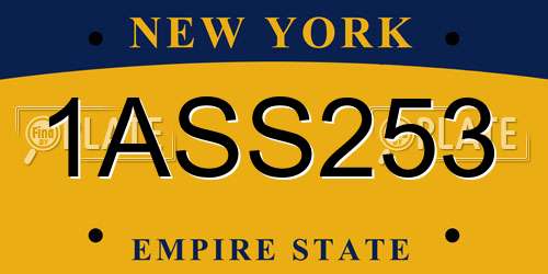 1ASS253 New York License Plate