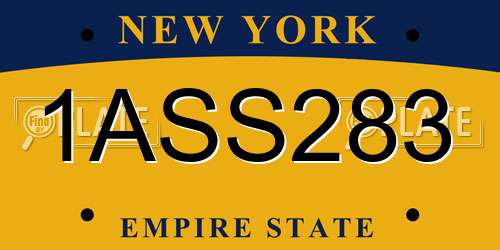 1ASS283 New York License Plate
