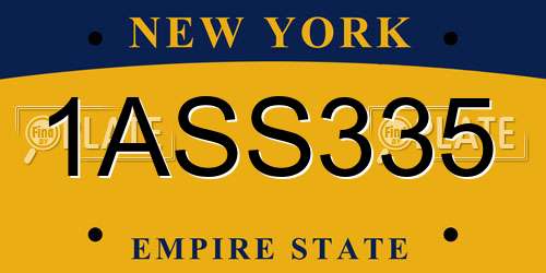 1ASS335 New York License Plate