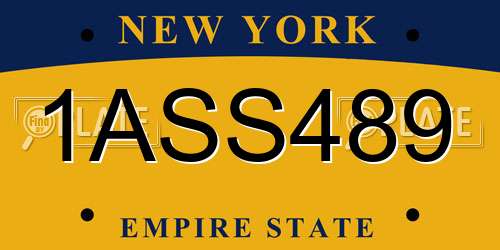 1ASS489 New York License Plate