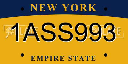 1ASS993 New York License Plate