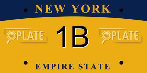 1B New York License Plate
