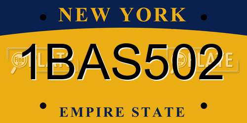 1BAS502 New York License Plate