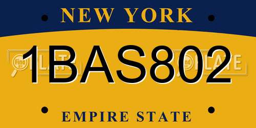 1BAS802 New York License Plate