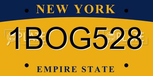 1BOG528 New York License Plate