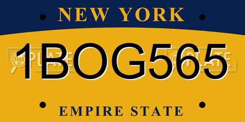1BOG565 New York License Plate