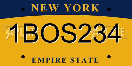 1BOS234 New York License Plate