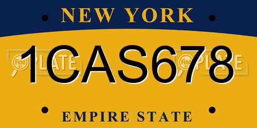 1CAS678 New York License Plate