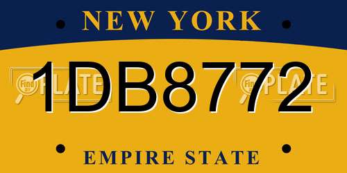 1DB8772 New York License Plate