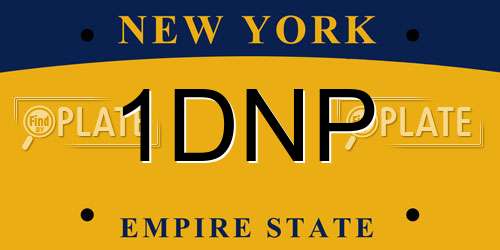 1DNP New York License Plate