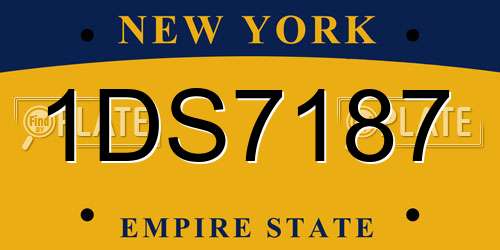 1DS7187 New York License Plate