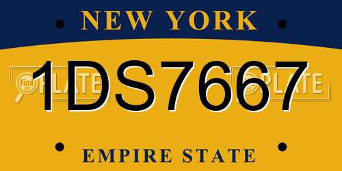 1DS7667 New York License Plate