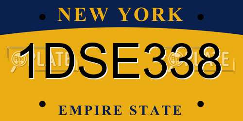 1DSE338 New York License Plate