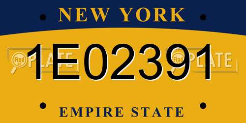 1E02391 New York License Plate