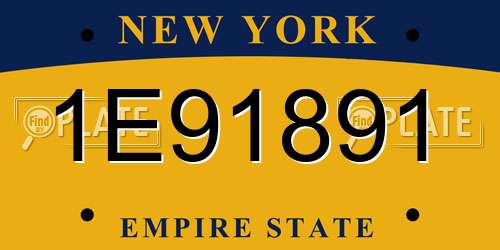 1E91891 New York License Plate