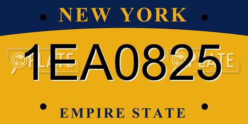1EA0825 New York License Plate