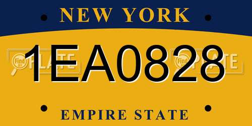 1EA0828 New York License Plate