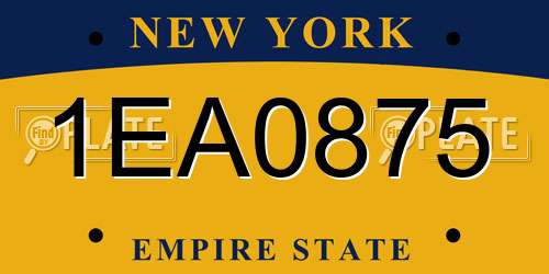 1EA0875 New York License Plate