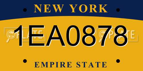 1EA0878 New York License Plate