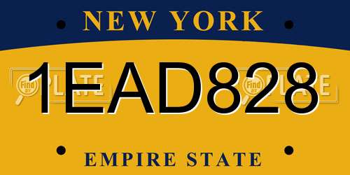 1EAD828 New York License Plate