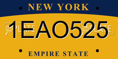 1EAO525 New York License Plate