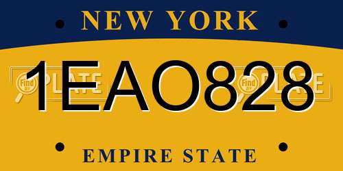 1EAO828 New York License Plate