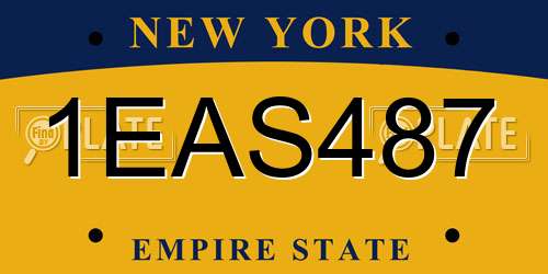 1EAS487 New York License Plate