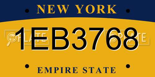 1EB3768 New York License Plate