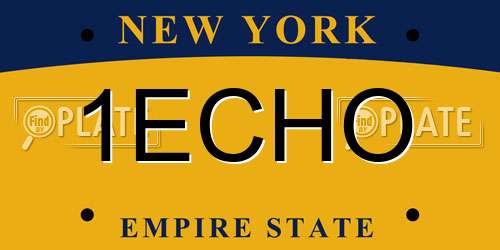 1ECHO New York License Plate