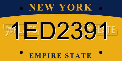 1ED2391 New York License Plate