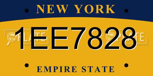 1EE7828 New York License Plate