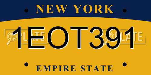 1EOT391 New York License Plate