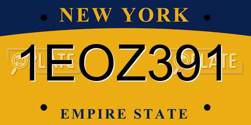 1EOZ391 New York License Plate