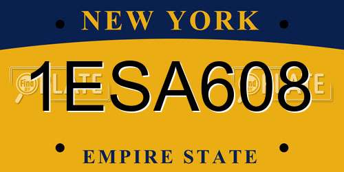 1ESA608 New York License Plate