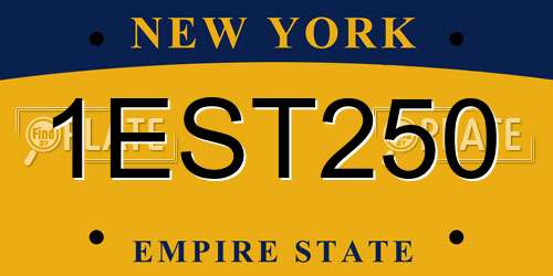 1EST250 New York License Plate