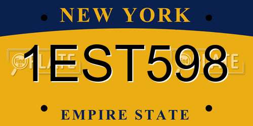 1EST598 New York License Plate