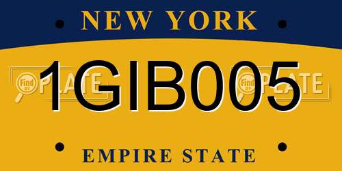 1GIB005 New York License Plate