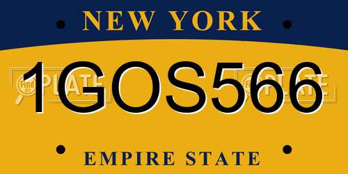 1GOS566 New York License Plate