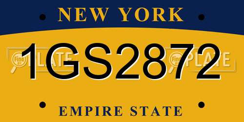 1GS2872 New York License Plate