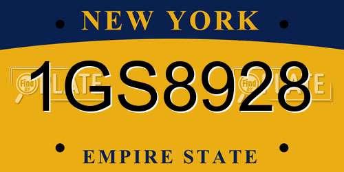 1GS8928 New York License Plate
