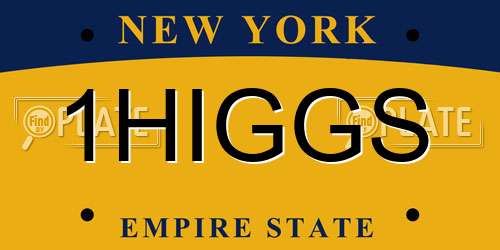 1HIGGS New York License Plate