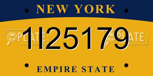 1I25179 New York License Plate