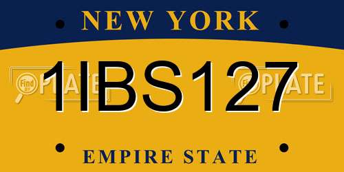 1IBS127 New York License Plate