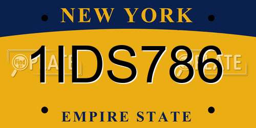 1IDS786 New York License Plate