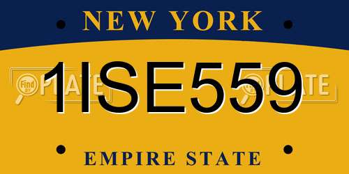 1ISE559 New York License Plate